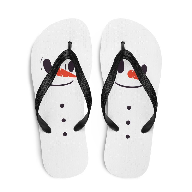 Flip-Flops