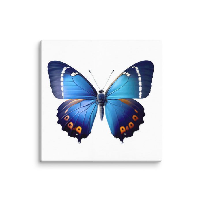 Blue Butterfly Design Canvas - Image 3