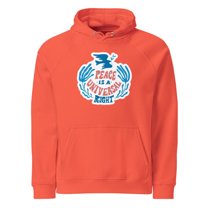 Peace is a Right Unisex eco raglan hoodie - Image 2