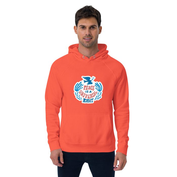 Peace is a Right Unisex eco raglan hoodie - Image 4