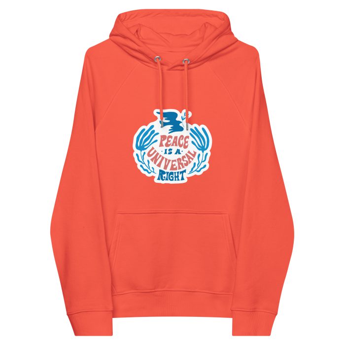 Peace is a Right Unisex eco raglan hoodie - Image 7