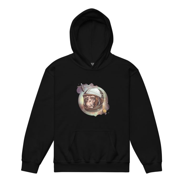 Space Chimp Youth heavy blend hoodie - Image 5