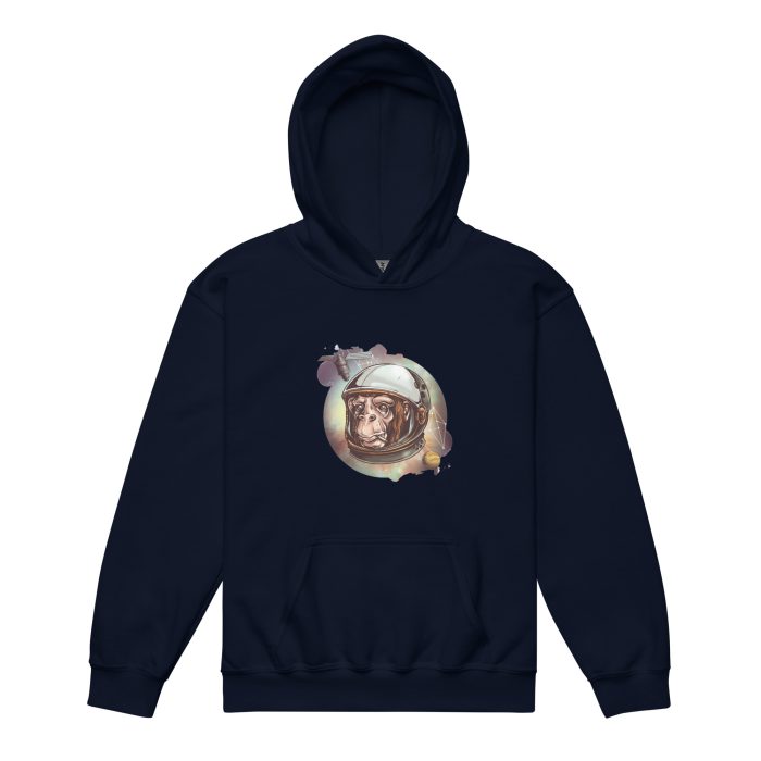 Space Chimp Youth heavy blend hoodie - Image 6