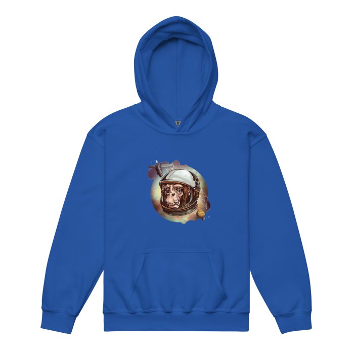 Space Chimp Youth heavy blend hoodie - Image 7