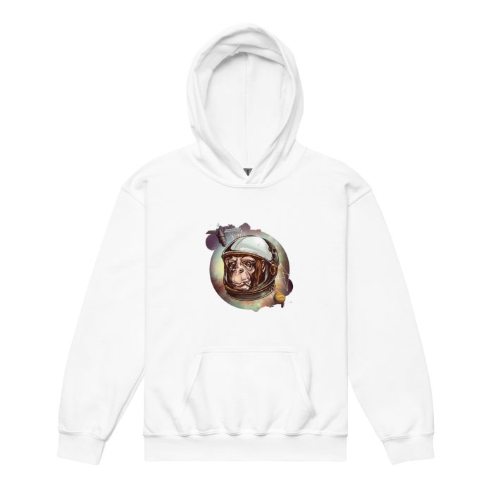 Space Chimp Youth heavy blend hoodie - Image 8